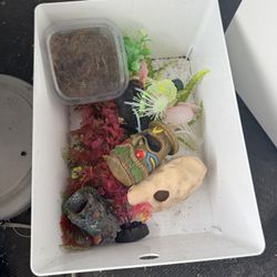Miscellaneous fish tank supplies