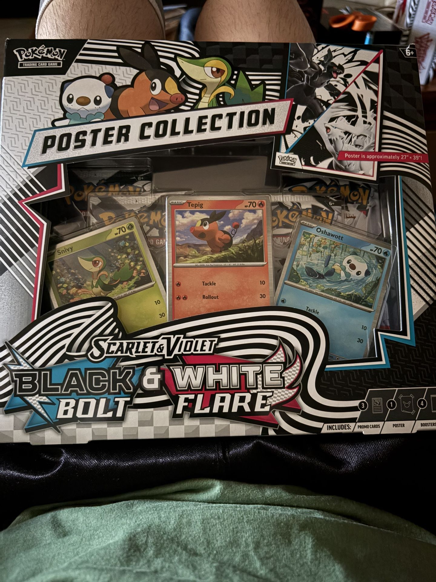Pokemon Unova Poster Collection 