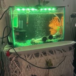 ISO Fish Tank (30 -55gallon) Or Larger