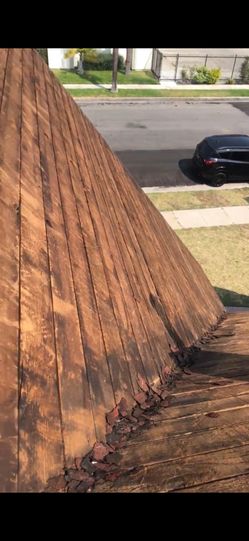 Shingles Roof