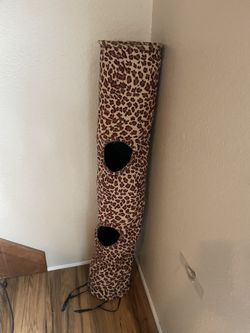 Cat Tunnel