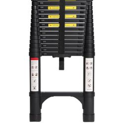 Telescoping Ladder