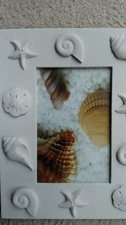 Shell, sand dollar, star fish picture frame.
