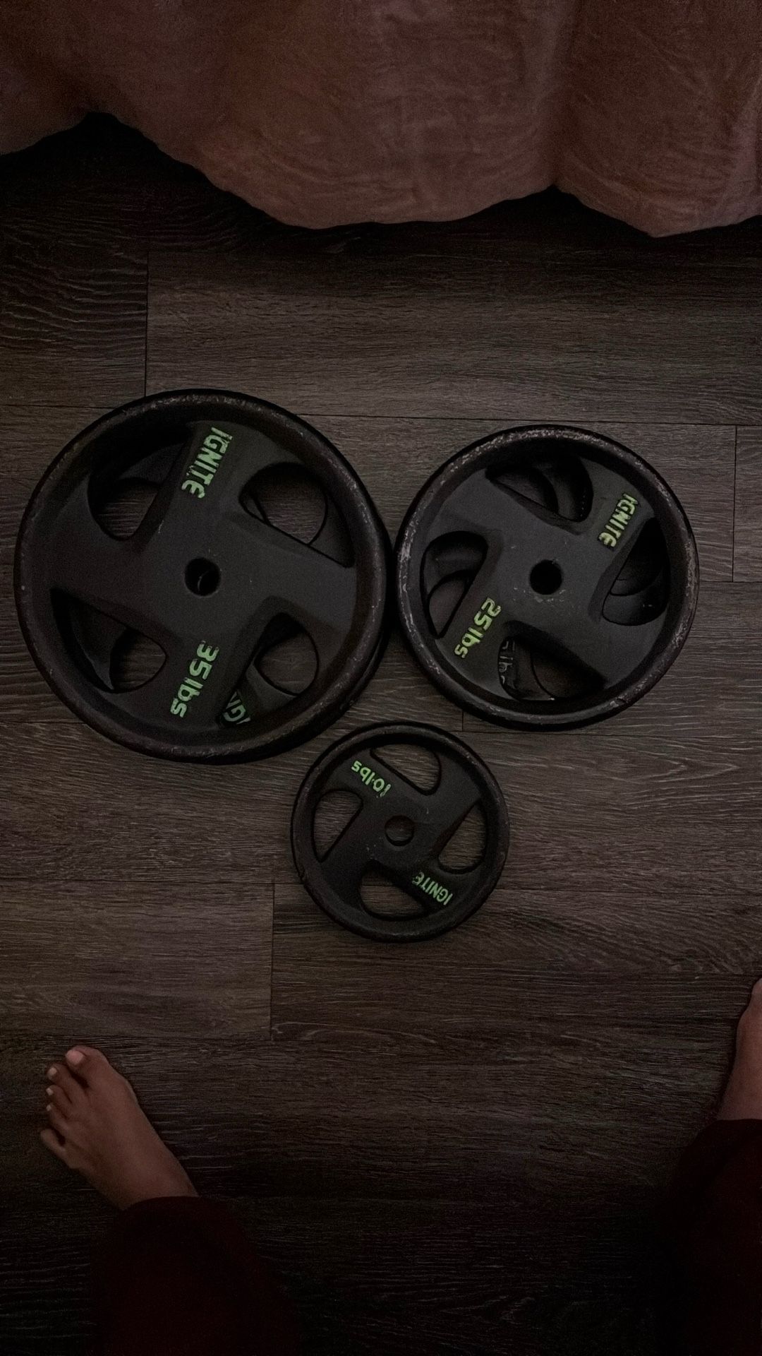 WEIGHT PLATES (10lb ,25lb ,35lb)