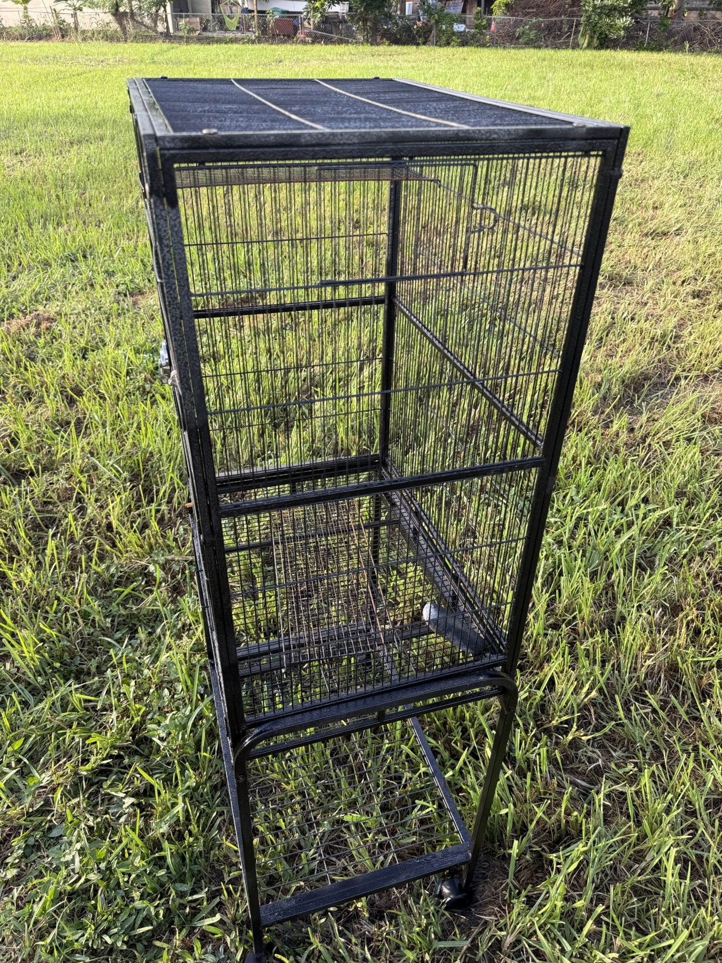 Bird Cage