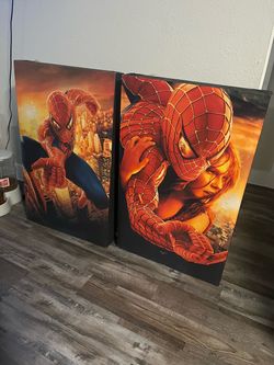 Spiderman Frames