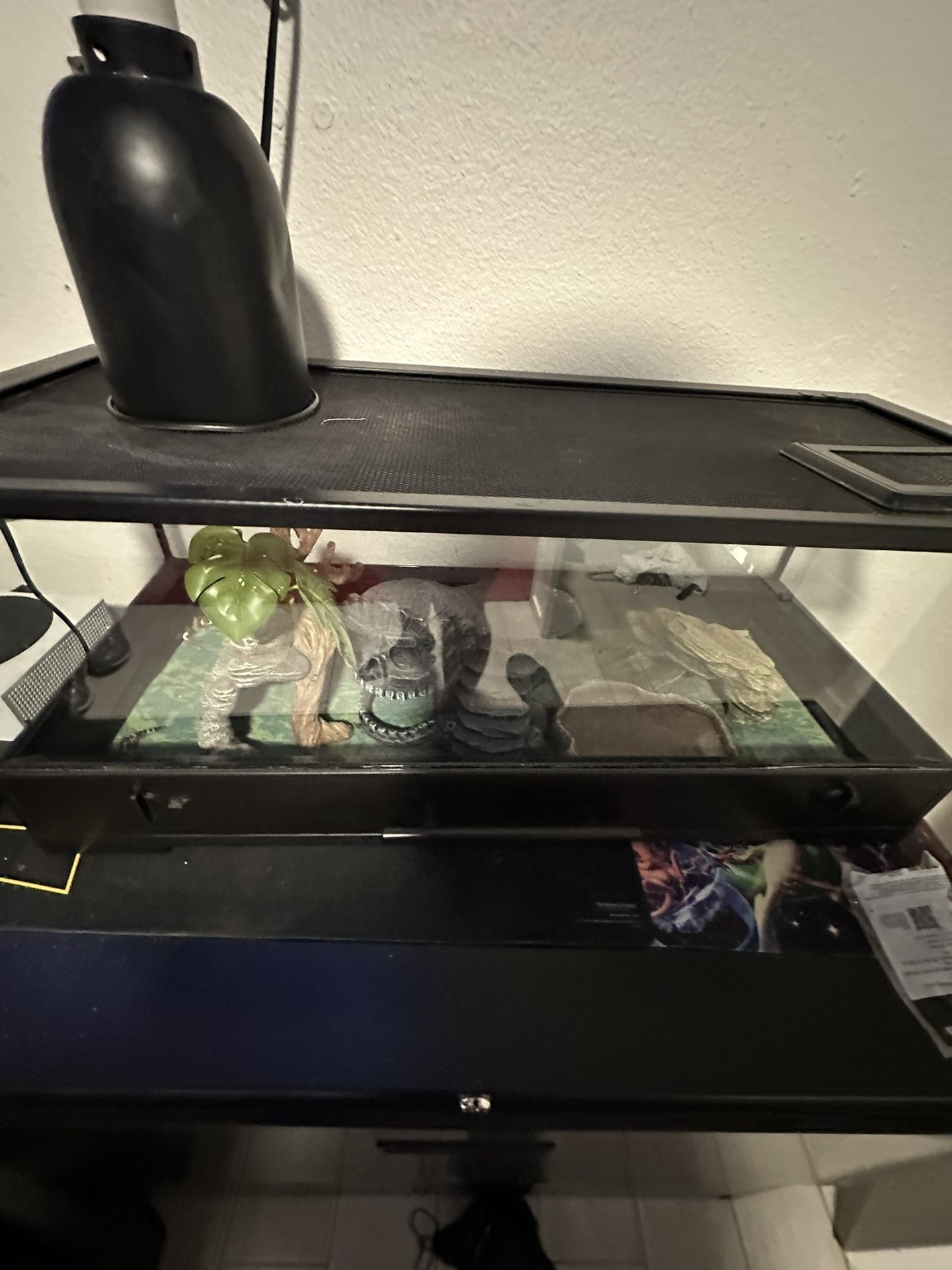 Lizard Cage With Lizard  And