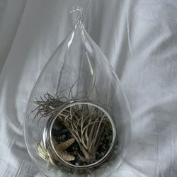 Sea Life Glass Hanging Decor