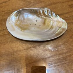 7” L  Abalone Shell Soap Dish -NEW