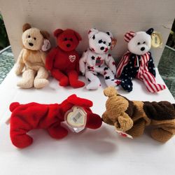 Beanie Babys Collection