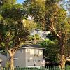 310Clearence