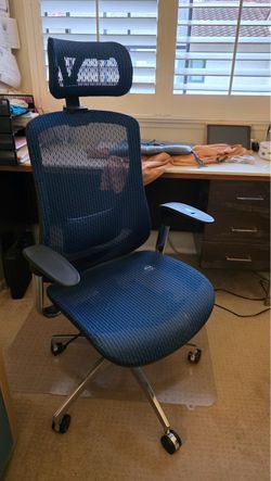 Blue Mesh Ergonomic Office Chair with Headrest