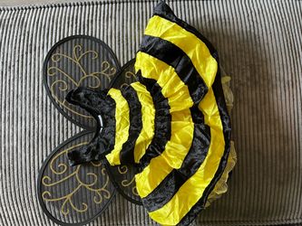 Bee costume