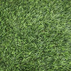 Snow Artificial Grass - Per Square Feet 