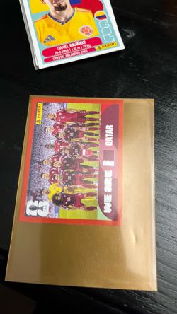 Panini World Cup stickers