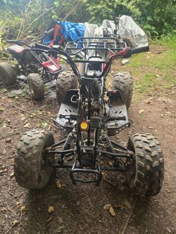 4 chinese quads