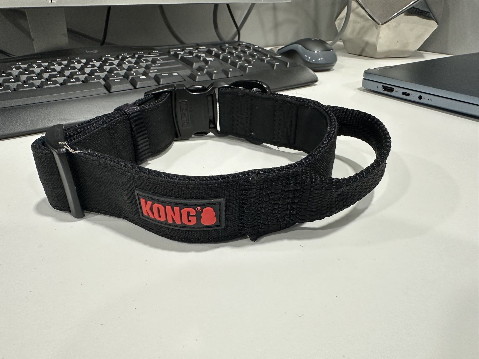 Kong Dog Collar 