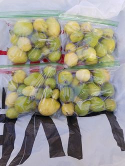 Guavas (Freshly Cut Different Varieties)
