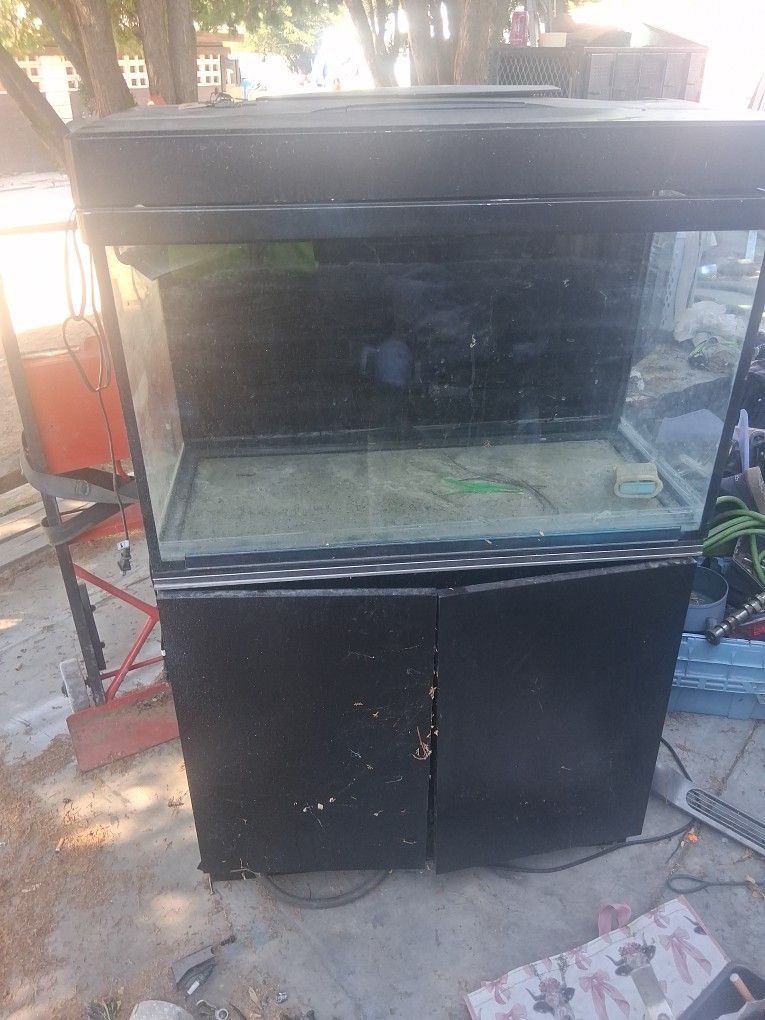 Fish Tank