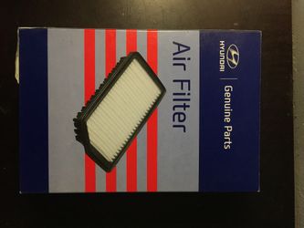 Hyundai Genuine Air Filter 28113 F2000 New