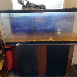 Fish Tank 300$ OBO