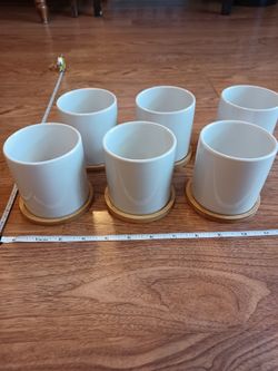 6 White Ceramic Planter Pots With Wooden Catch Basins