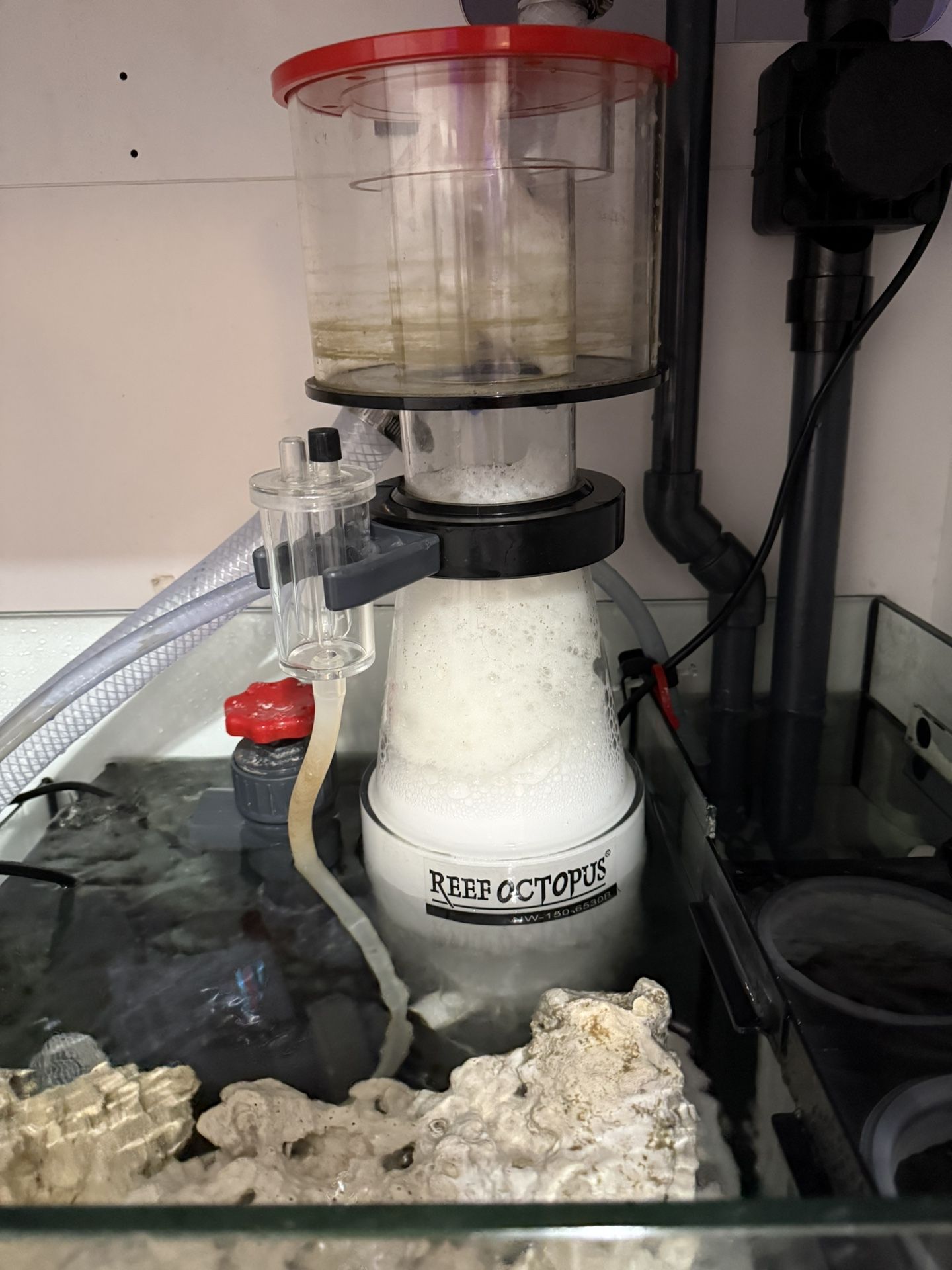 Skimmer Reef Octopus 150