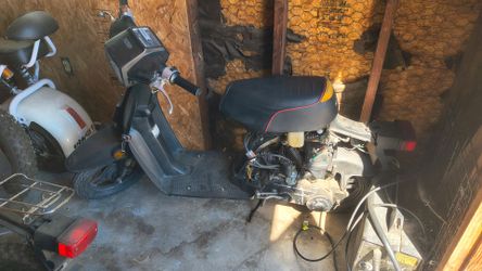 Honda spree
