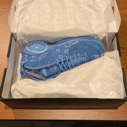 Air Zoom Flight 95 SP Supreme University Blue