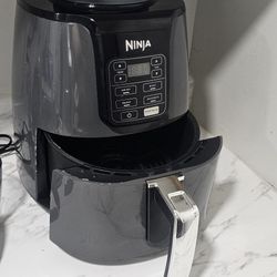Ninja Air Fryer AF101
