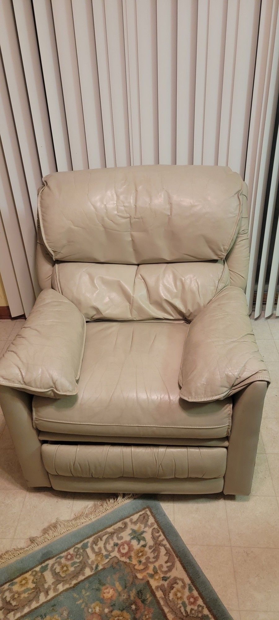 Leather Recliner