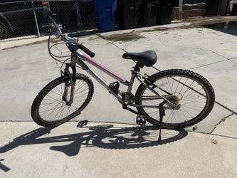 Nishiki Bike