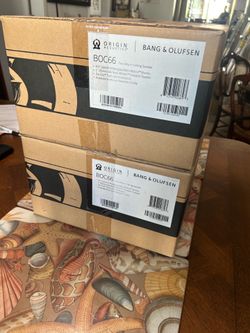 B&O/Origin Acoustics in ceiling speakers