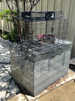 Dog Cage