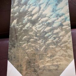 Parvez Taj Fish Wall Art UV Print on Wood Panel 12x18 Coastal Contemporary New