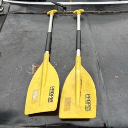 Paddles