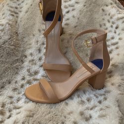 Size 61/2