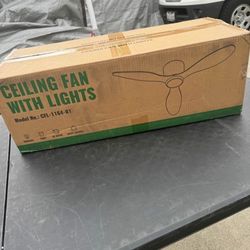 Ceiling fan