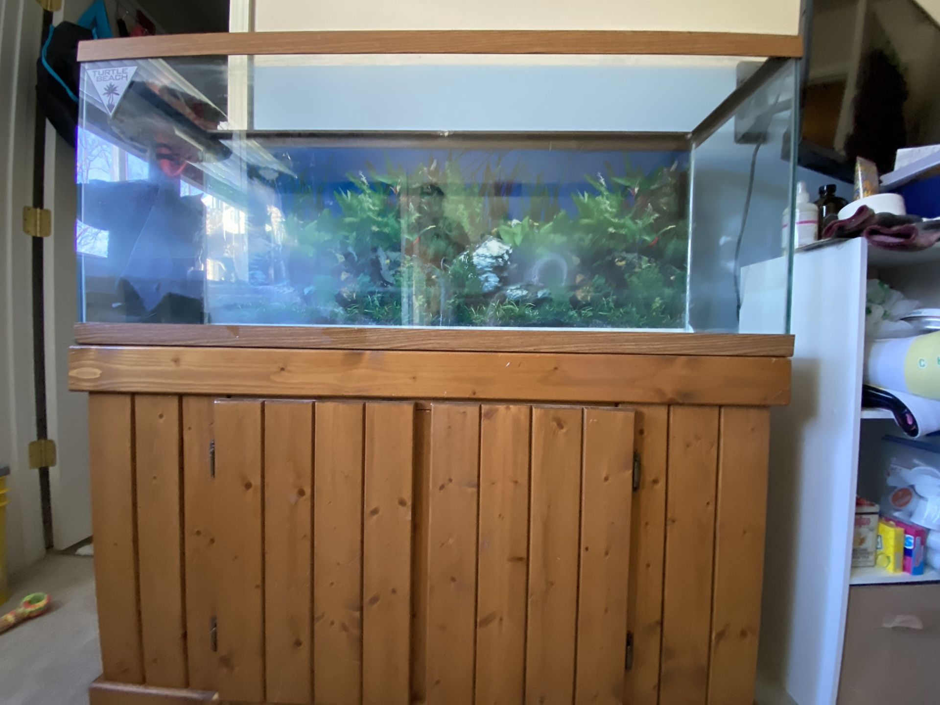 55 gal aquarium