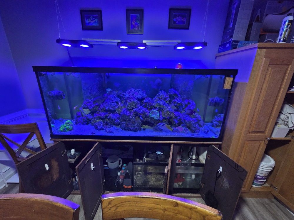 Fish Tank And Stand