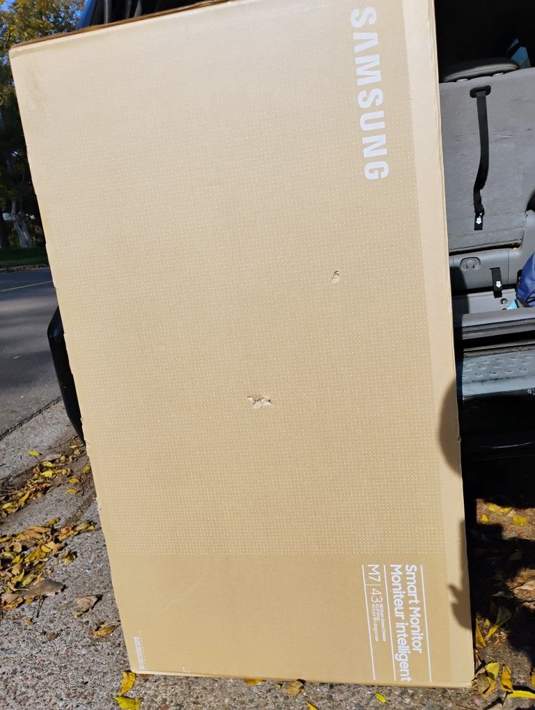 Samsung 43 " Smart Monitor 