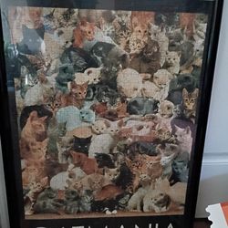 Cat Puzzle 1000 pieces In Plastic Frame