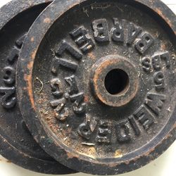 Pair Of 5 Lb Standard Weights