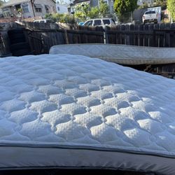 Single Mattress 