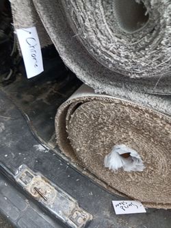 Carpet