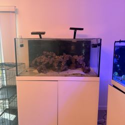ProStar Rimless V2 150 Aquarium w/ WHITE Stand