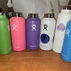 Hydroflask Collection 