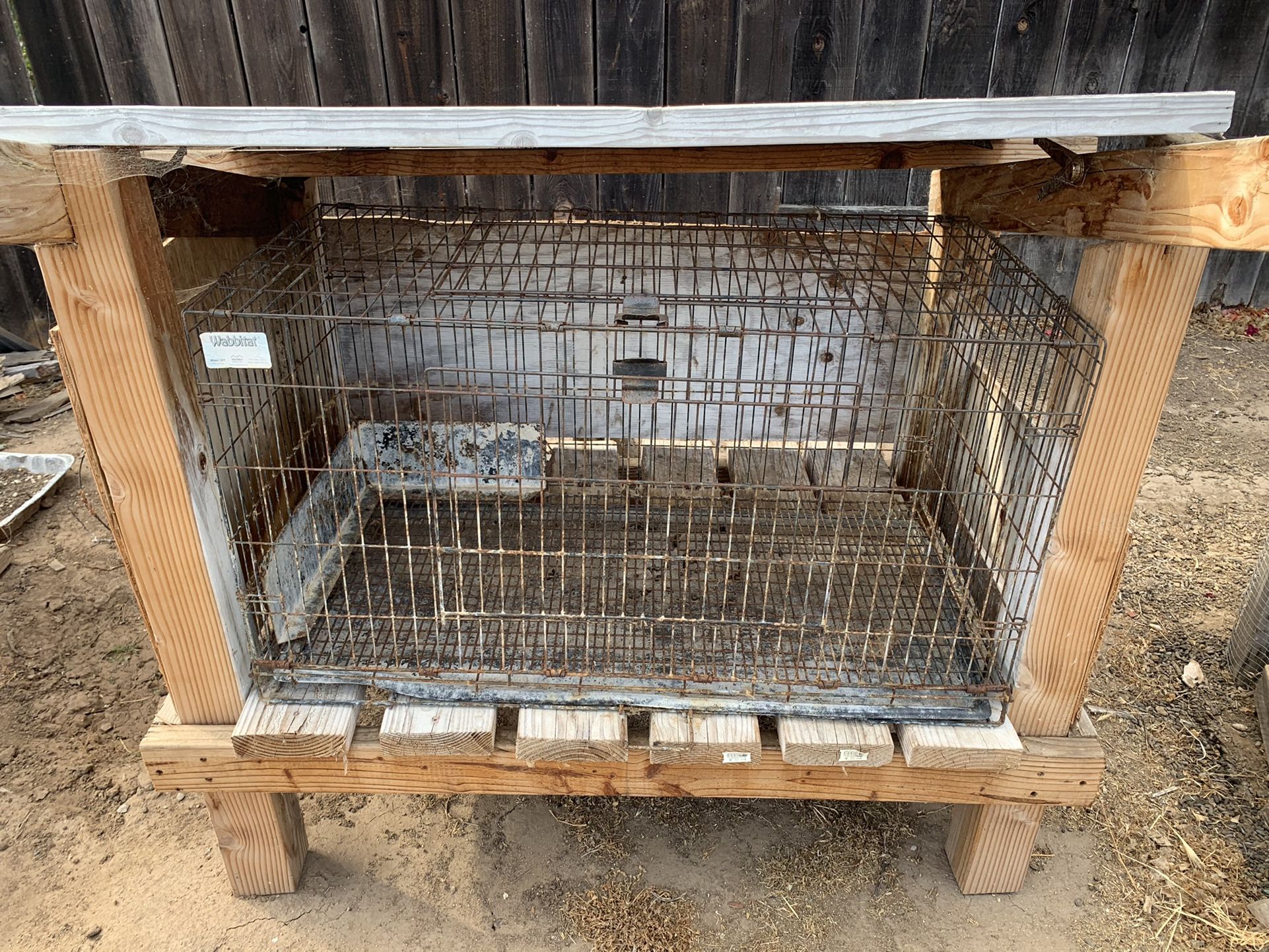rabbit cage
