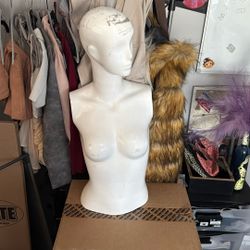 torso mannequin 