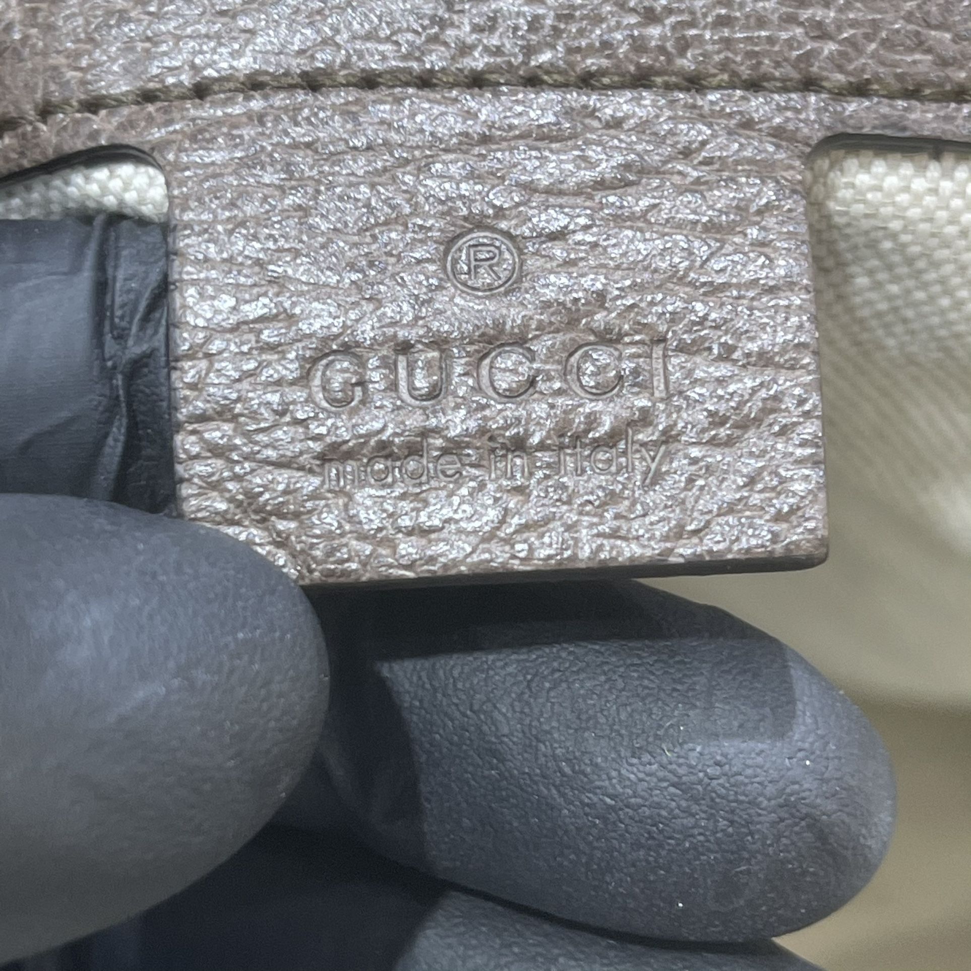 Gucci Handbag Ophidia